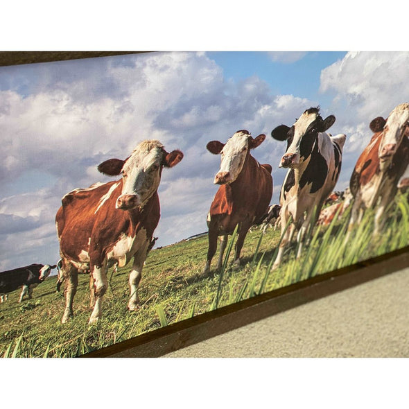 Cows In Pasture Wood Sign