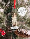 border collie custom christmas ornament